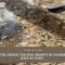 seal granite how often Sacramento